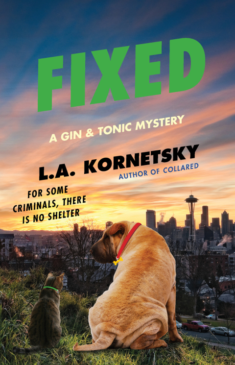 Cover image for book Fixed