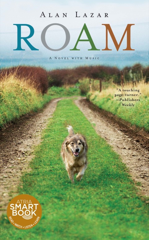 Cover image for book Roam