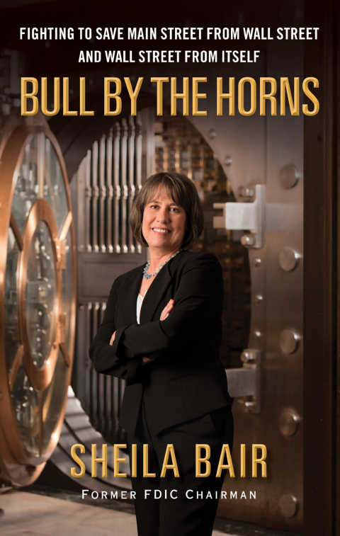 Cover image for book Bull by the Horns