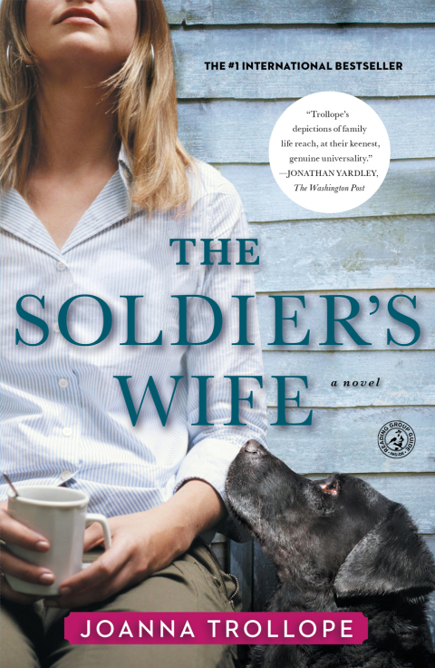 Cover image for book The Soldier's Wife