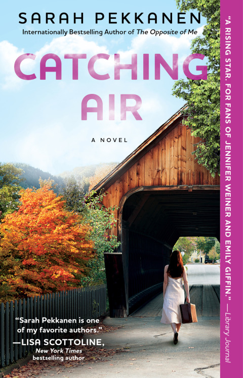 Cover image for book Catching Air