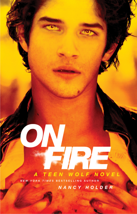 Cover image for book On Fire