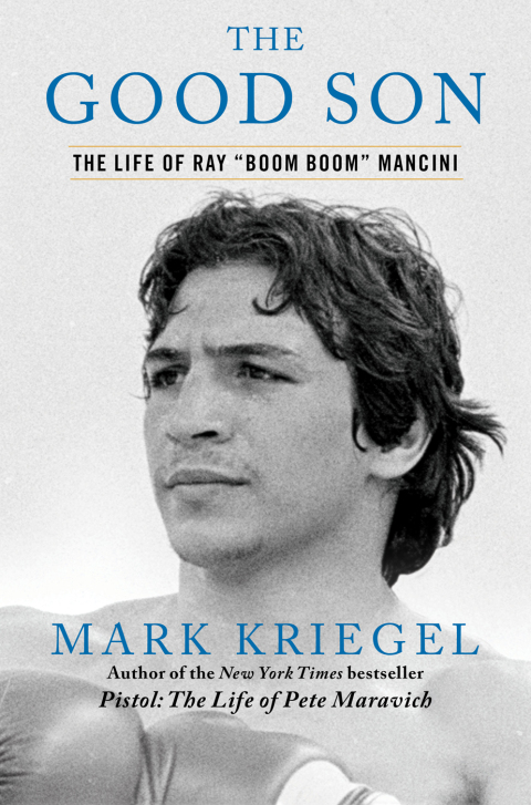 Cover image for book The Good Son