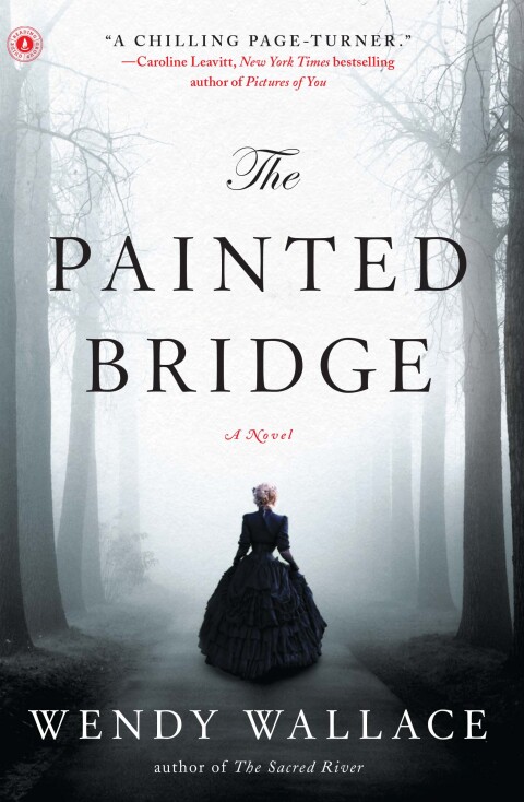 Cover image for book The Painted Bridge