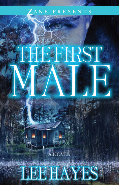 Cover image for book The First Male