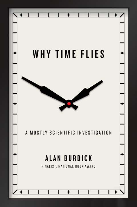 Cover image for book Why Time Flies