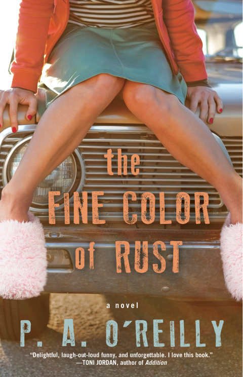 Cover image for book The Fine Color of Rust