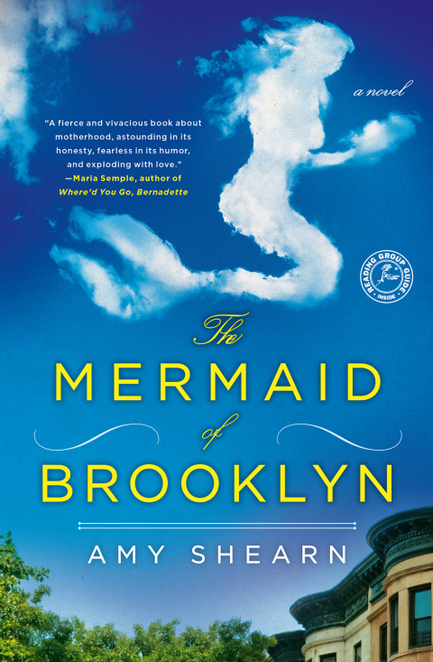 Cover image for book The Mermaid of Brooklyn