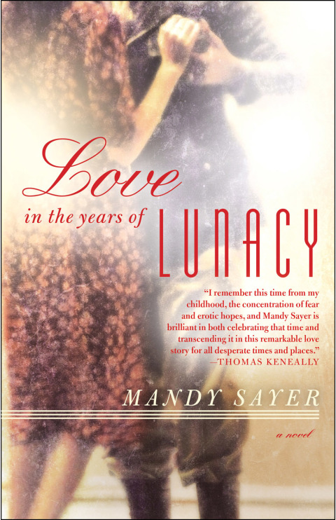 Cover image for book Love in the Years of Lunacy