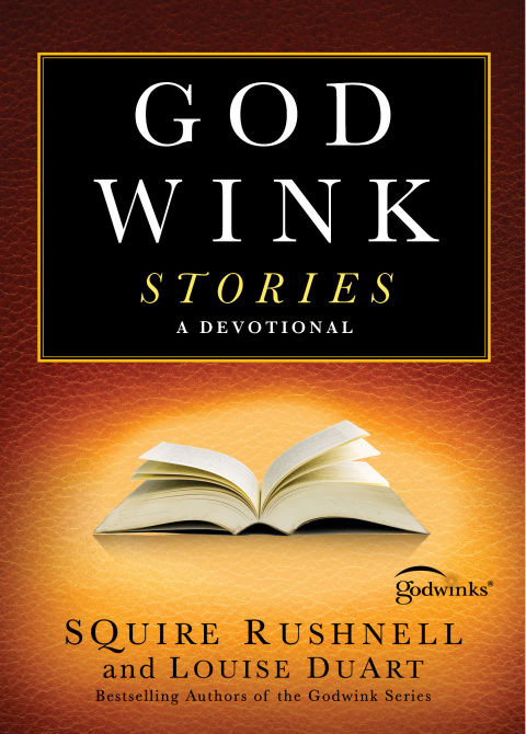 Cover image for book Godwink Stories