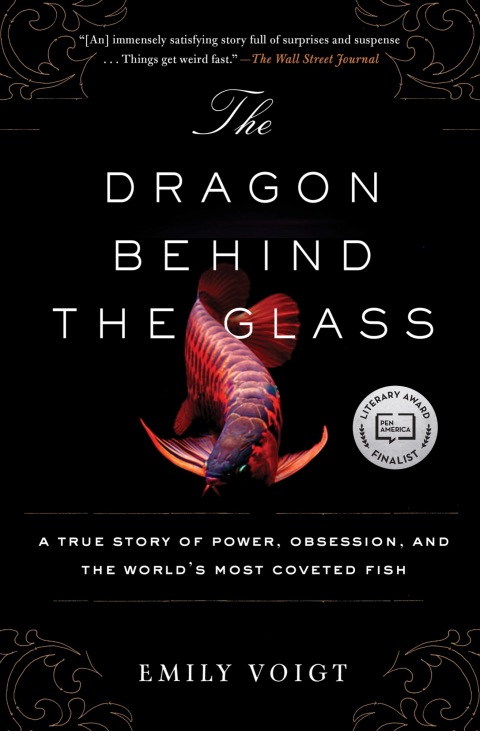 Cover image for book The Dragon Behind the Glass
