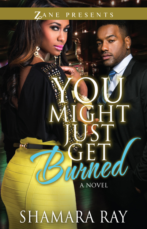 Cover image for book You Might Just Get Burned