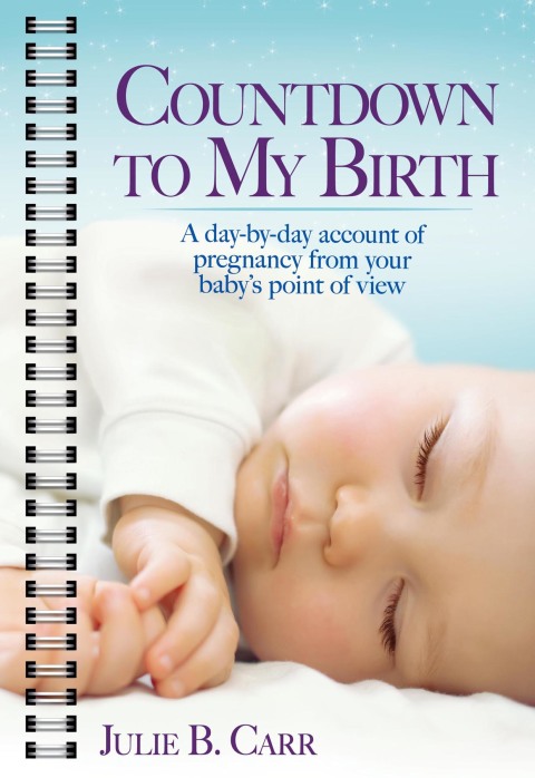 Cover image for book Countdown To My Birth