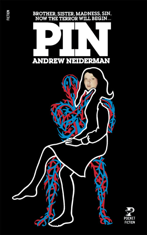 Cover image for book Pin