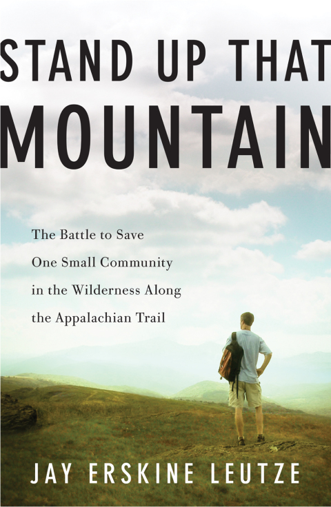 Cover image for book Stand Up That Mountain