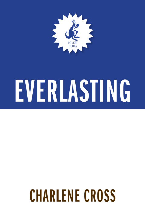 Cover image for book Everlasting