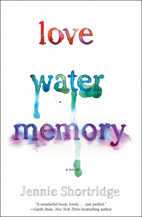 Cover image for book Love Water Memory