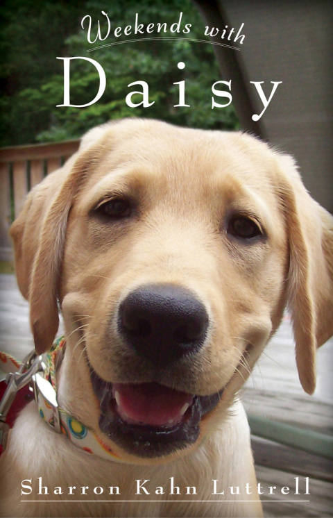 Cover image for book Weekends with Daisy