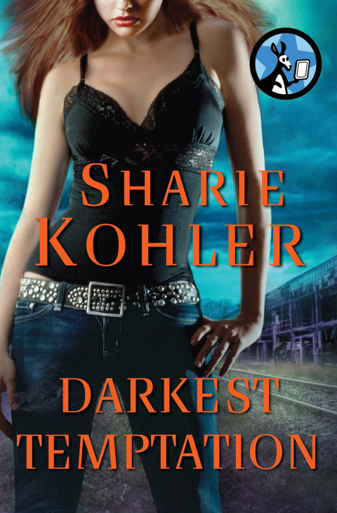 Cover image for book Darkest Temptation