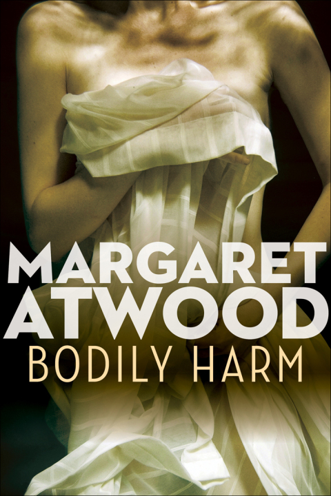 Cover image for book Bodily Harm