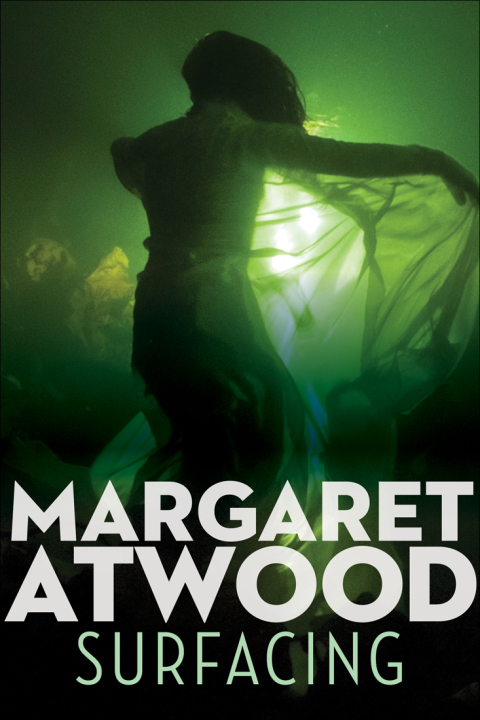 Cover image for book Surfacing
