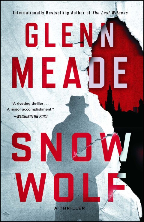 Cover image for book Snow Wolf