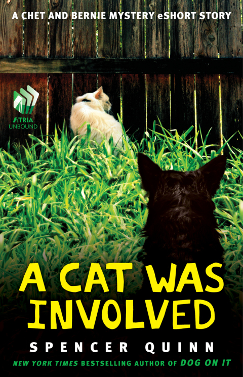 Cover image for book A Cat Was Involved