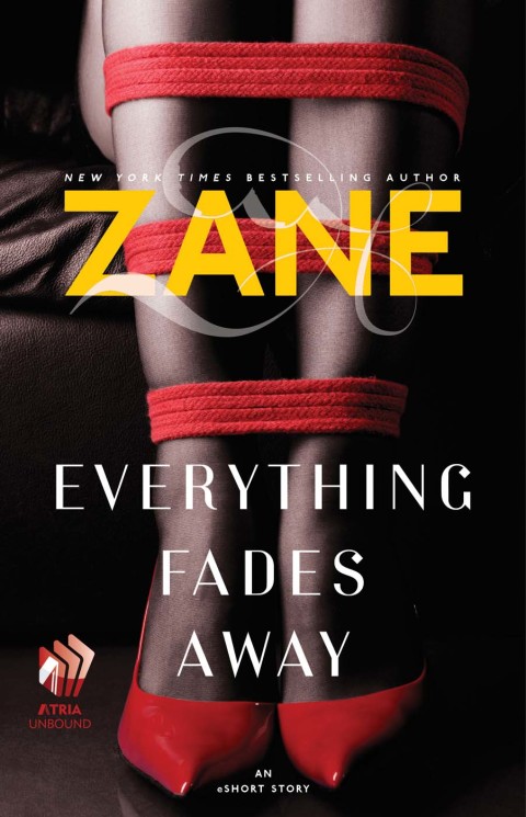 Cover image for book Everything Fades Away