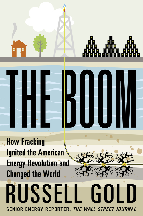 Cover image for book The Boom