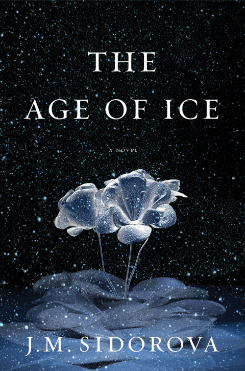 Cover image for book The Age of Ice