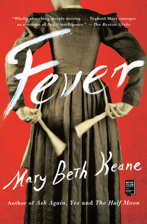 Cover image for book Fever
