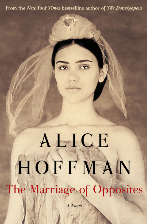 Cover image for book The Marriage of Opposites