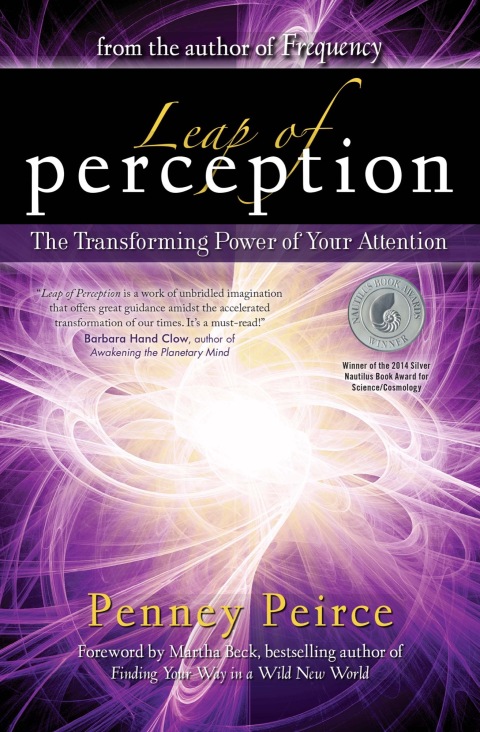 Cover image for book Leap of Perception