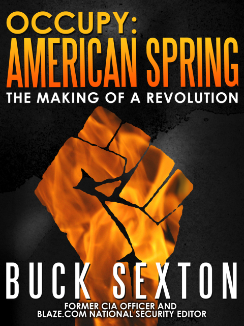 Cover image for book Occupy: American Spring