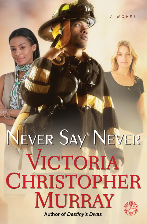 Cover image for book Never Say Never