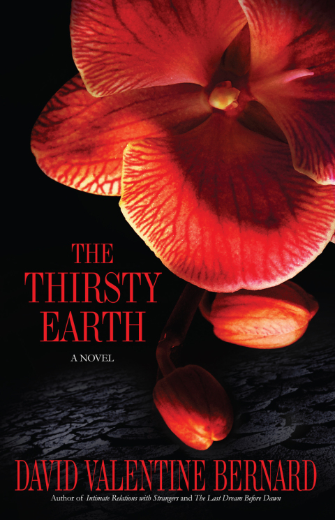 Cover image for book The Thirsty Earth