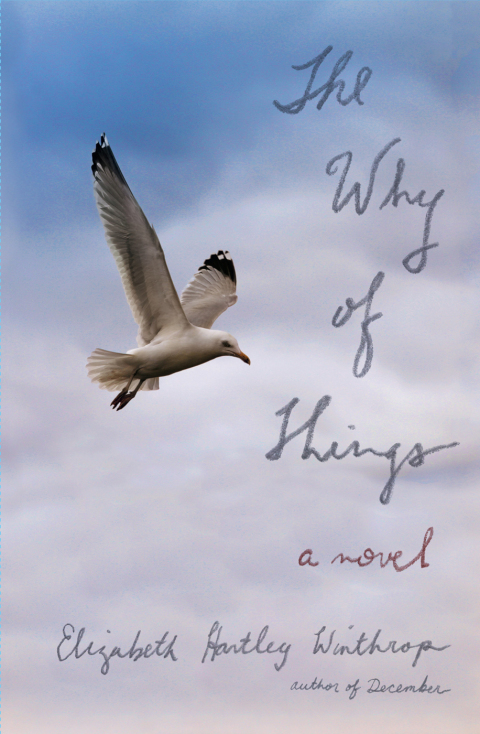 Cover image for book The Why of Things