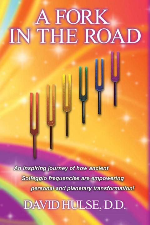 Cover image for book A Fork in the Road