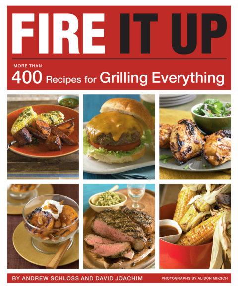 Cover image for book Fire It Up