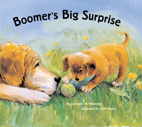 Cover image for book Boomer's Big Surprise