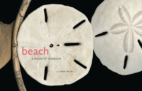 Cover image for book Beach