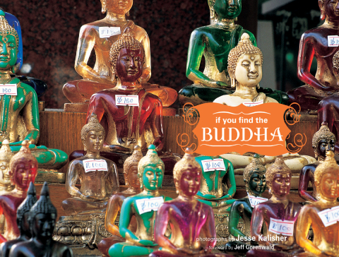 Cover image for book If You Find the Buddha