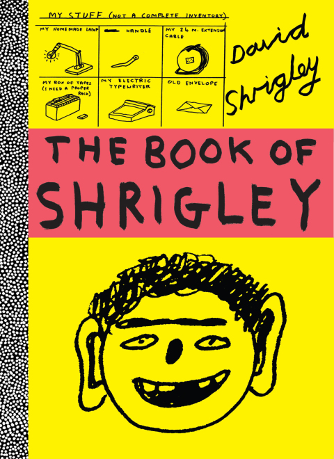 Cover image for book The Book of Shrigley