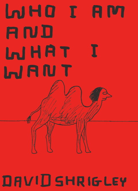 Cover image for book Who I Am and What I Want