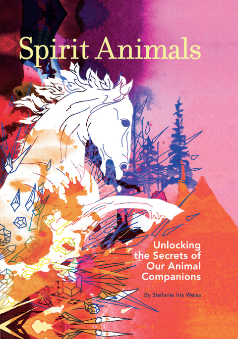 Cover image for book Spirit Animals