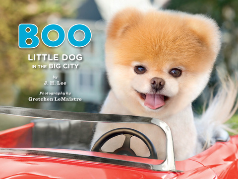 Cover image for book Boo: Little Dog in the Big City