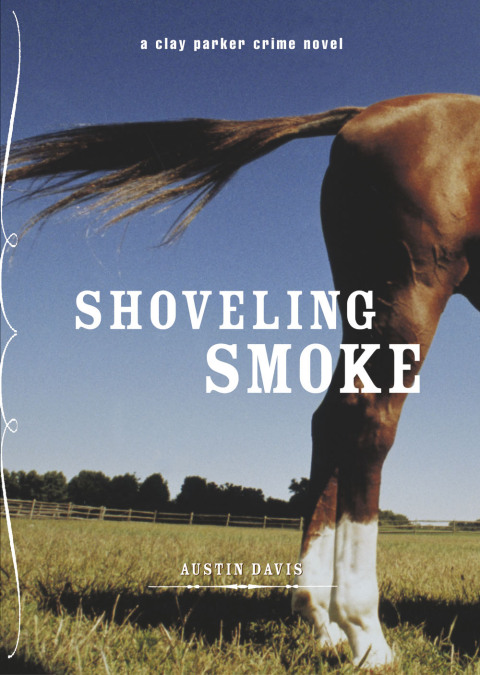 Cover image for book Shoveling Smoke