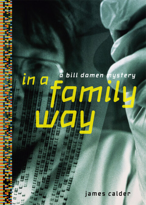 Cover image for book In a Family Way
