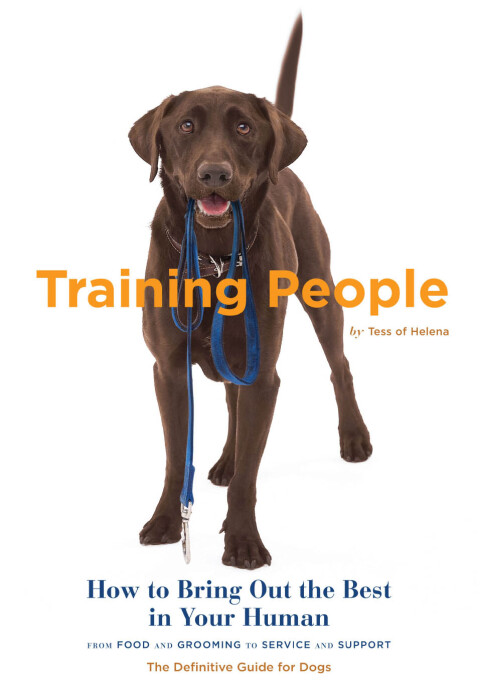 Cover image for book Training People