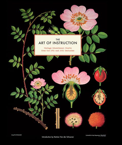 Cover image for book The Art of Instruction